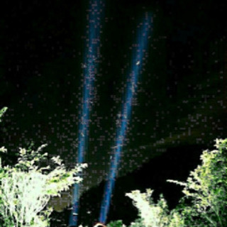 HID お手軽ライトトラップ クワガタ、蛾などに