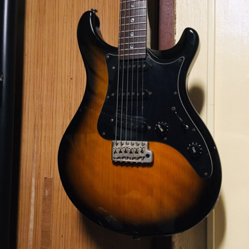PRS SE EG 専用ソフトケース付き | noonanwaste.com