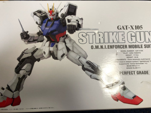ストライクガンダムとルージュ