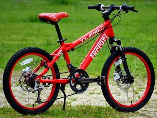 White Mountain Bike Double Damping & Double Disc Brake 