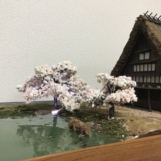 フルスクラッチ 桜香る合掌造りの古民家1/50