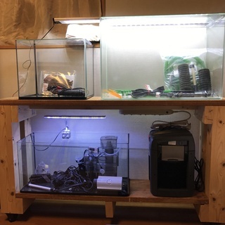 水槽、水槽台、淡水、海水セット