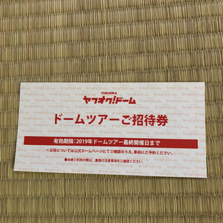 鷹の祭典 みずほプレミアムシートS ペア