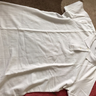 白のポロシャツ