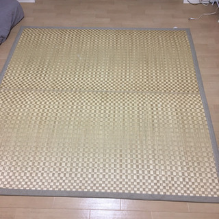 伝える 警察署 野心的 ござ マット ニトリ 上級 男らしい 参加者