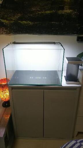 45×30×30 熱帯魚 水槽セット