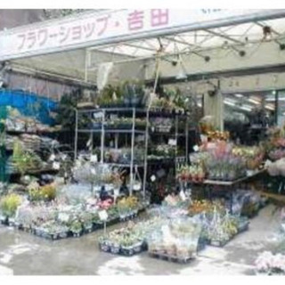 東京都の花屋のアルバイト バイト パートの求人募集情報 ジモティー