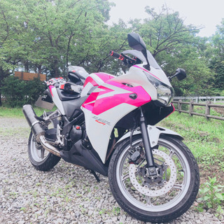 写真追加！ 絶好調 mc41 CBR250R 希少カラー 【公式通販】