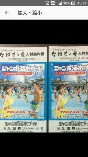 長島スパーランドジャンボ海水プール　ペアチケット
