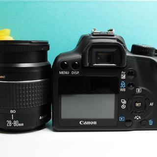 【らくらく簡単操作 ！】初心者オススメ Canon kiss F