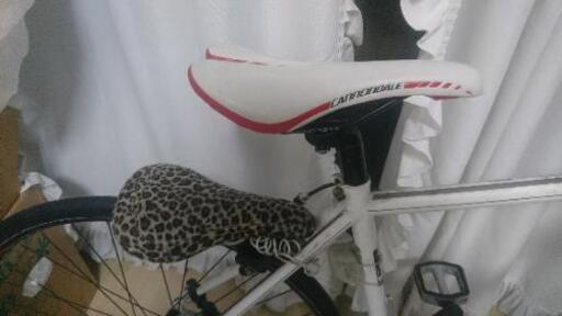 シュイン 検 ダホン ビアンキ ジャイアント ロードバイク