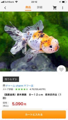 金魚 鈴木東錦 萩本氏作出 魚 を各1000円で売ります 2匹居ます じゅん 枚方のその他の中古あげます 譲ります ジモティーで不用品の処分