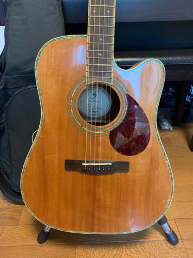 美品全調整済☆ Greg Bennett D-12CE エレアコ | alfasaac.com