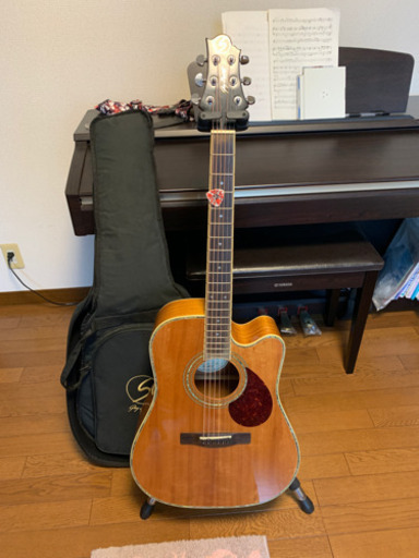 美品全調整済☆ Greg Bennett D-12CE エレアコ | noonanwaste.com