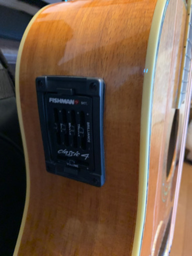 美品全調整済☆ Greg Bennett D-12CE エレアコ