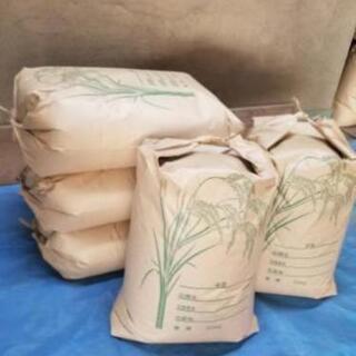 楽天市場】茨城県産コシヒカリ30kgの通販