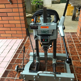 【値段下げました】角のみの販売です。 値段下げました】角のみの販売です。