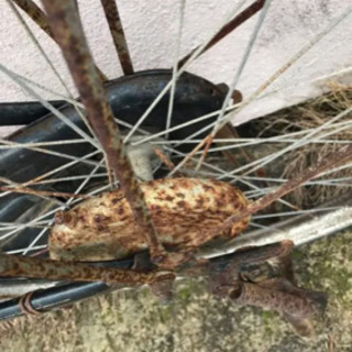 ナショナル regular 昭和 レトロ 自転車 ビンテージ オールド レストア 修理 カスタム ベース  実用自転車