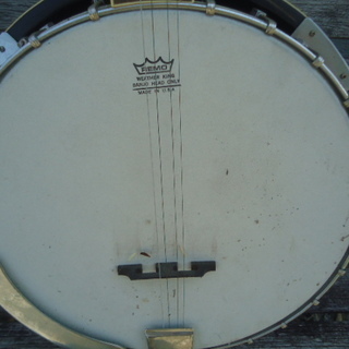 ARIA アリア 5弦バンジョー REMO Banjo WEATHER KING 