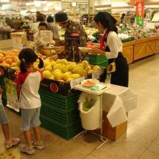 ☆明るく元気な方！！試食販売スタッフ募集中☆埼玉県エリアのスタッ...