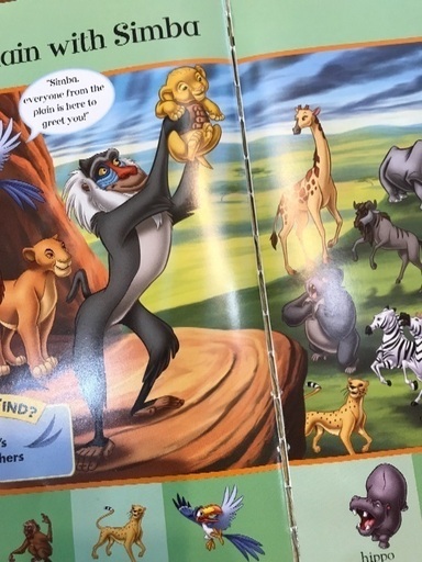 DWE dwe リニューアル最新版マイビッグブックオブワーズ絵辞書