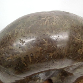 アンモナイト化石 大型 幅35cm 縫合線もはっきり！！ 化石 置物 札幌市