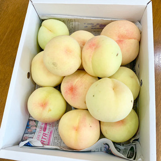 【旬のフルーツ】訳あり清水白桃　2キロ箱