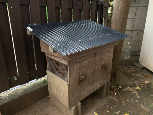 最新 高級 自作 現在未使用 テラリウム 虫カゴ 飼育ケース 虫類用品 Www Gentlesteam Com