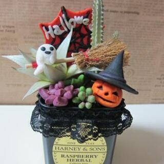 多肉植物フェイク　ハロウィン　黒カン