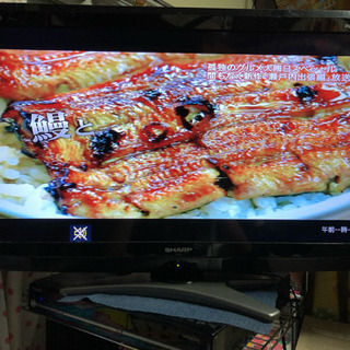シャープ液晶テレビ&TOSHIBA HDDレコーダー セット