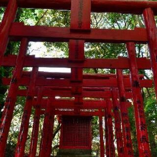 d5100ダブルズームキット