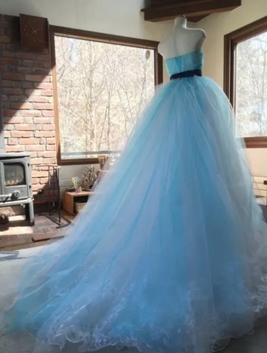 大幅値引き！ ウエディングオーバードレス上下・バックリボン