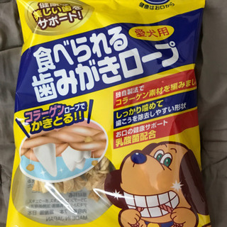 犬のオヤツを貰ってください