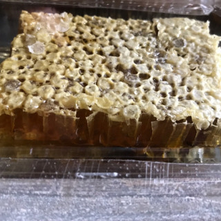 日本ミツバチ 巣蜜 蜂蜜