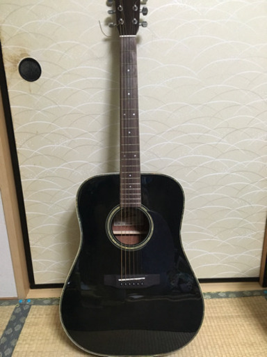 Aria(アリア)アコースティックギター ADW-300