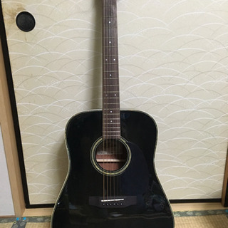 Aria(アリア)アコースティックギター ADW-300 