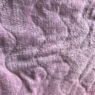 敷布団、掛布団、敷パットⅹ2☆ニトリ布団セット