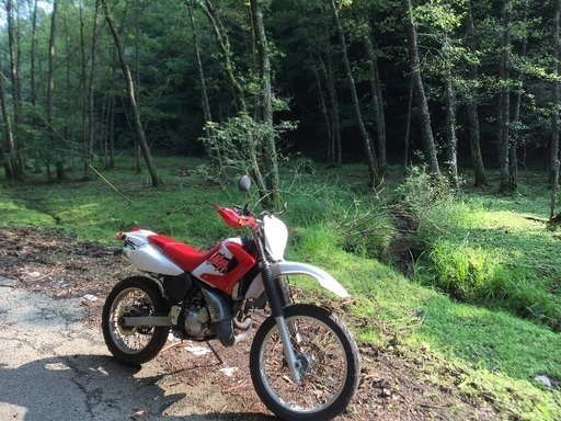 絶版2スト 好調 整備済み YAMAHA DT230LANZA オフロード・トレール