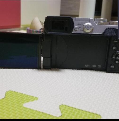 DMC-GX8 本体 LUMIX gx8 本体とバッテリー2個 おまけ付き Panasonic
