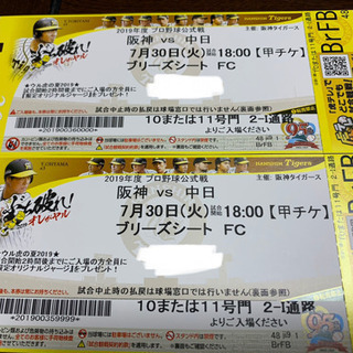 定価以下!7/30 阪神vs中日 - チケット