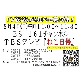 ＴＶ放送予定のお知らせ第五弾「ねこ自慢」