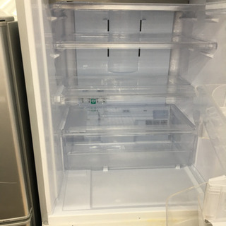 XJBEETテールイノウエコミネキジマレア物希少初期 XJBEETテールイノウエコミネキジマレア物希少初期