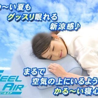 新品 アドフィールド 敷きパッド フィールエア FEEL AIR...