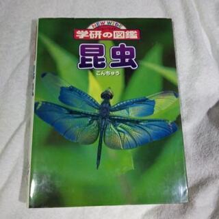 学研の図鑑 昆虫 参考書
