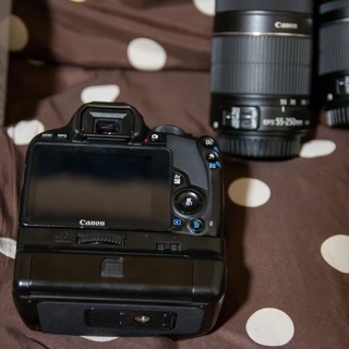 【美品】EOS Kiss x7/100Dカスタム Wズームレンズ