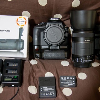 【美品】EOS Kiss x7/100Dカスタム Wズームレンズ