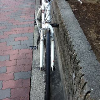 🚴LOUIS GARNEAU chasse