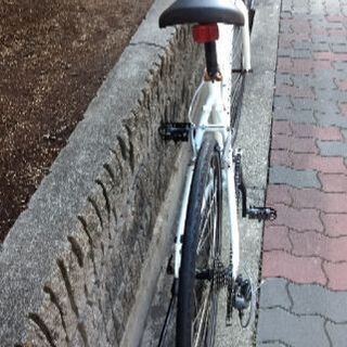 🚴LOUIS GARNEAU chasse