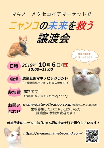 保護猫の譲渡会 にゃん君のおかげ マキノのその他のイベント参加者募集 無料掲載の掲示板 ジモティー