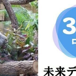 愛知県の植物 イベント情報 ジモティー 愛知県の植物 イベント情報 ジモティー